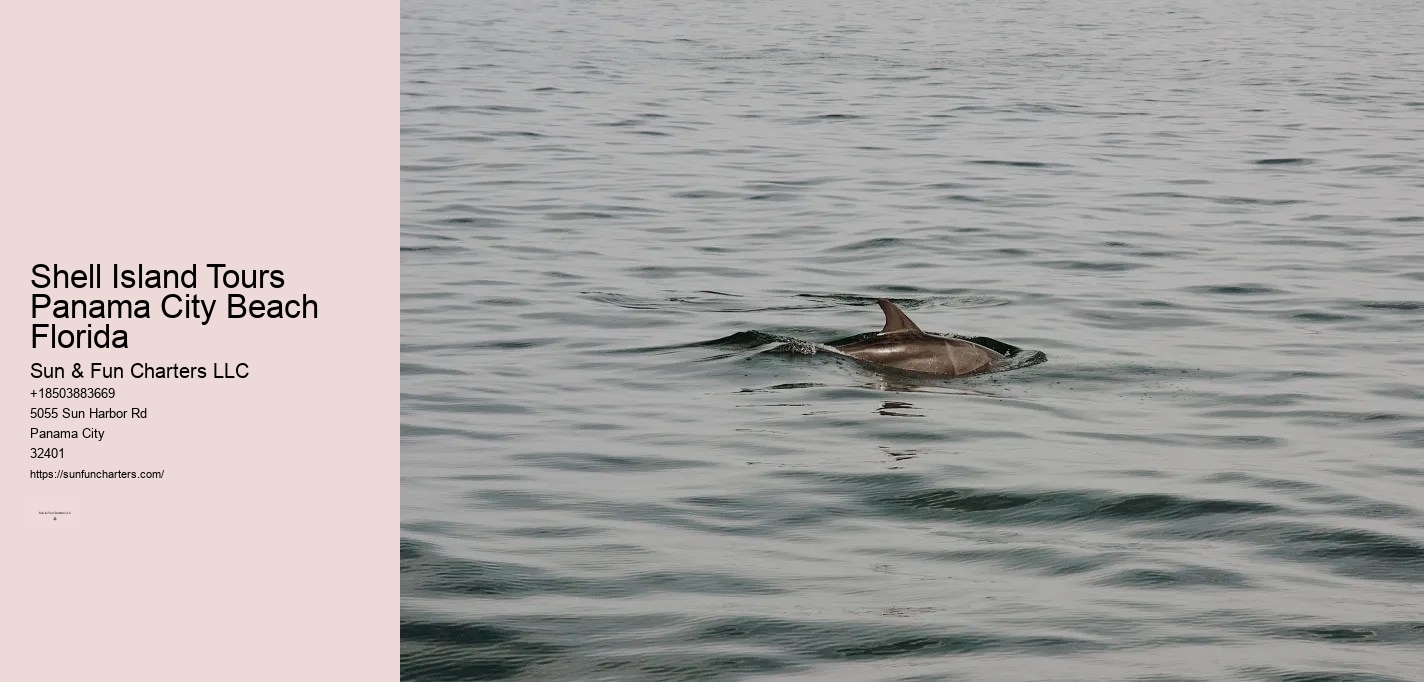 Shell Island Dolphin Tours Panama City Beach