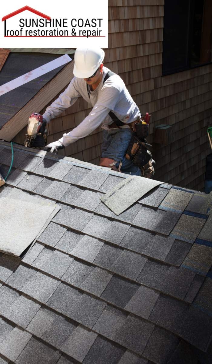 What are the signs of mold or algae on my roof?