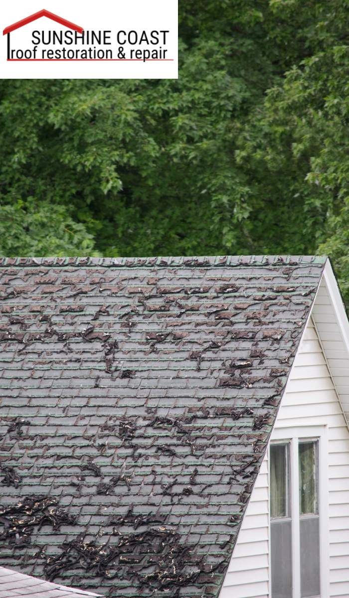 What makes Sunshine Coast Roof Restoration & Repair the best choice?