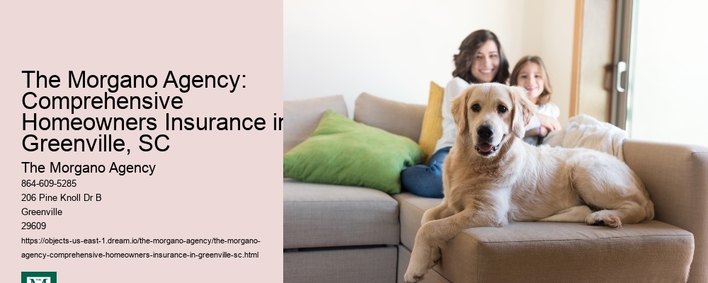 The Morgano Agency: Comprehensive Homeowners Insurance in Greenville, SC