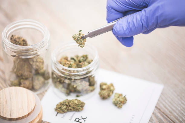 What is the role of cannabis in treating mental health disorders?