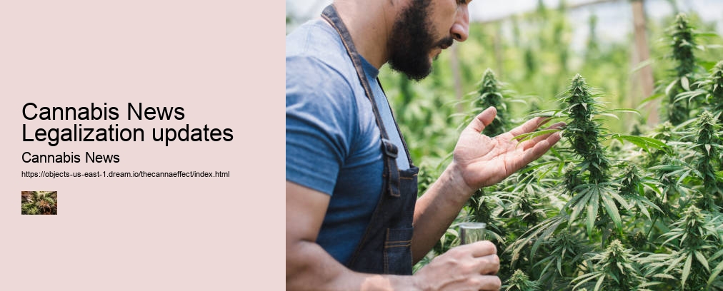 Cannabis News Legalization updates