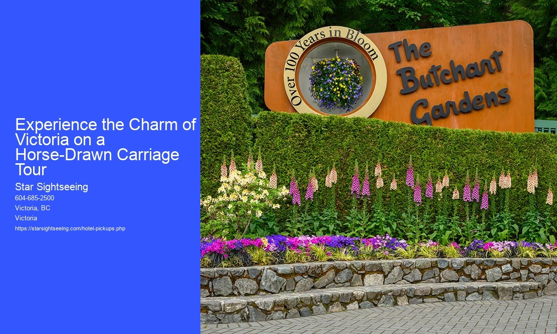 Experience the Charm of Victoria on a Horse-Drawn Carriage Tour