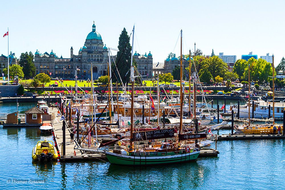 Eco-friendly guided tours Themed adventures: history, food, and nature