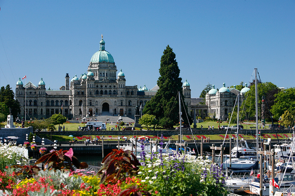 City tour experiences worth booking