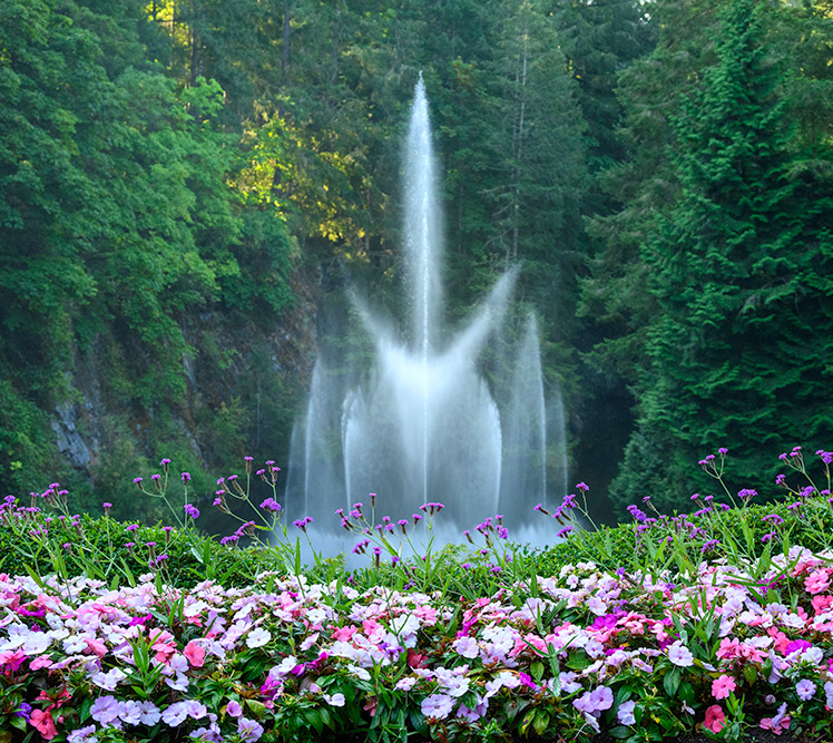 Gardens and parks with expert guides night tours