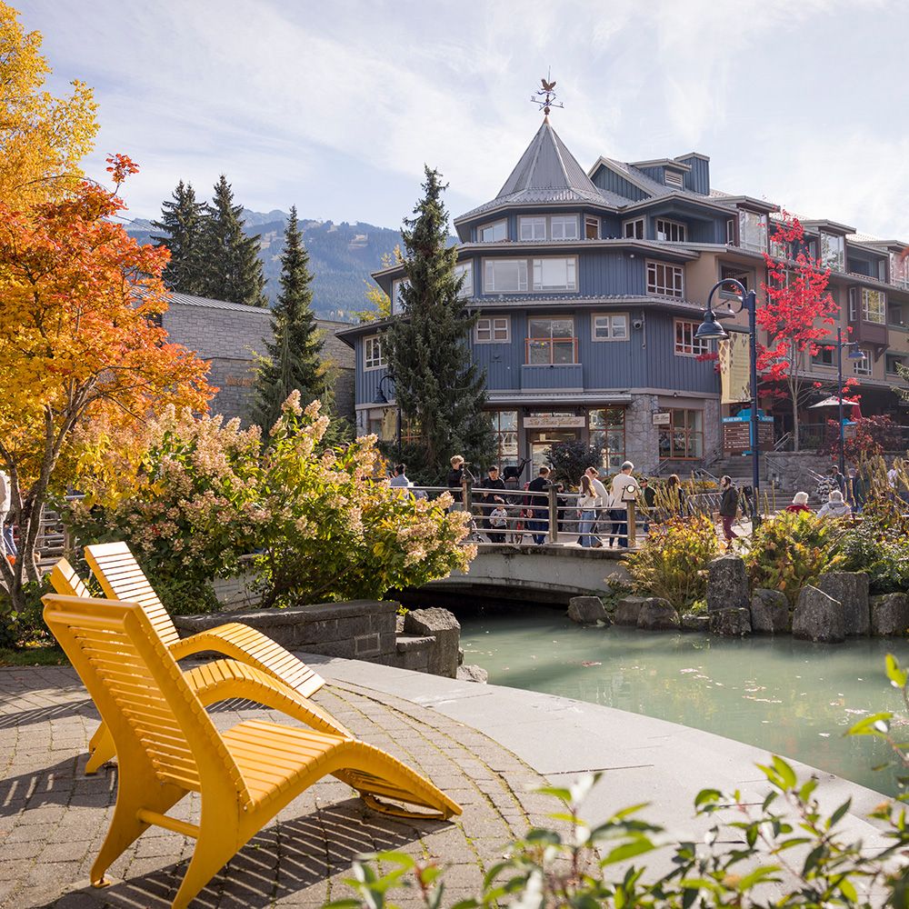 Top-Rated Sightseeing Whistler