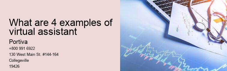 What are 4 examples of virtual assistant