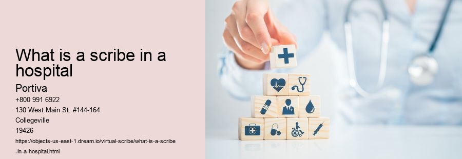 What is a scribe in a hospital