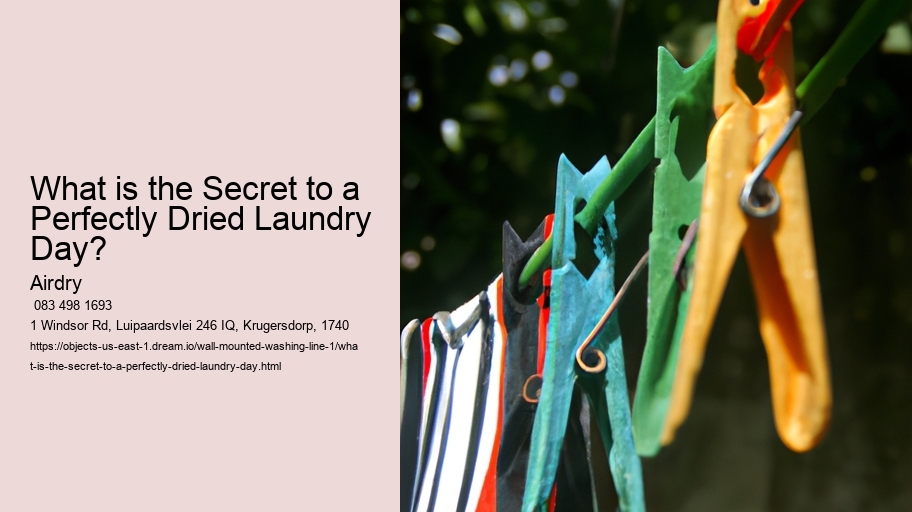 What is the Secret to a Perfectly Dried Laundry Day? 