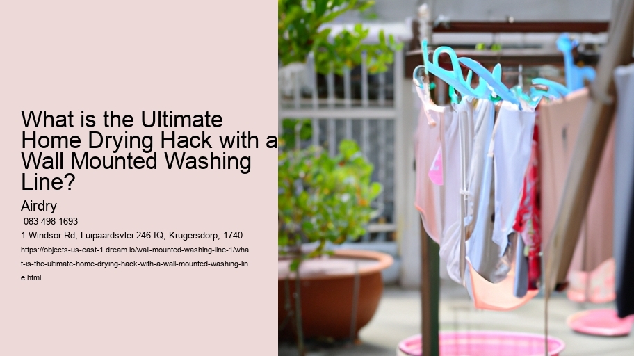 What is the Ultimate Home Drying Hack with a Wall Mounted Washing Line? 