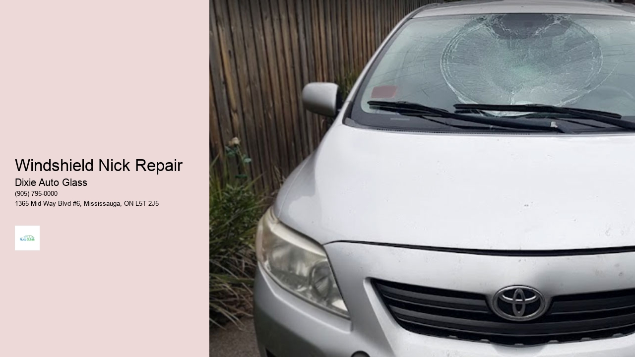 Windshield Nick Repair