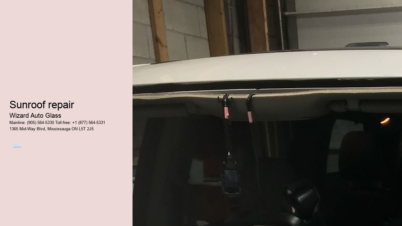 Sunroof repair